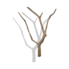 Cork Bark Branches (Customizable)