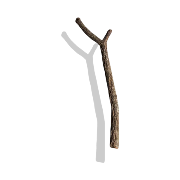 Cork Bark Branches (Customizable)