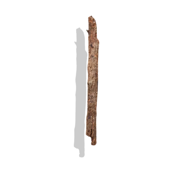 Cork Bark Branches (Sellers Choice)