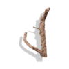 Cork Bark Branches (Customizable)