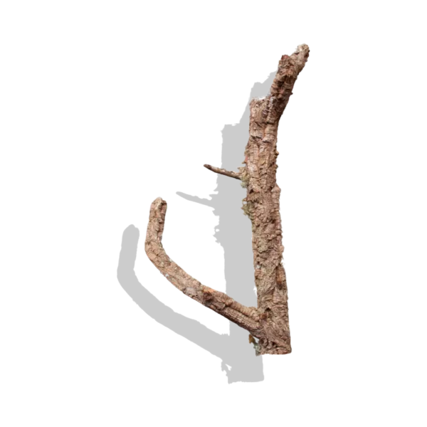 Cork Bark Branches (Customizable)