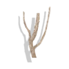 Cork Bark Branches (Customizable)