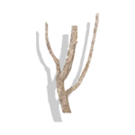 Cork Bark Branches (Customizable)