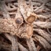 Cork Bark Branches (Sellers Choice)