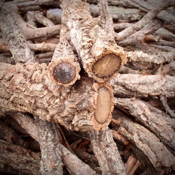 Cork Bark Branches (Sellers Choice)