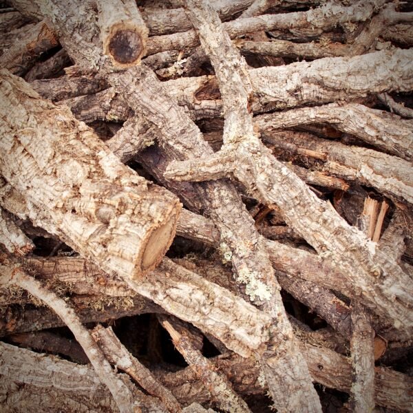 Cork Bark Branches (Sellers Choice)