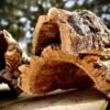 Cork Bark Half Rounds (Sellers Choice)