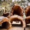 Cork Bark Half Rounds (Sellers Choice)
