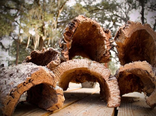 Cork Bark Half Rounds (Customizable)