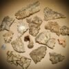 Micro Cork Bark Bits