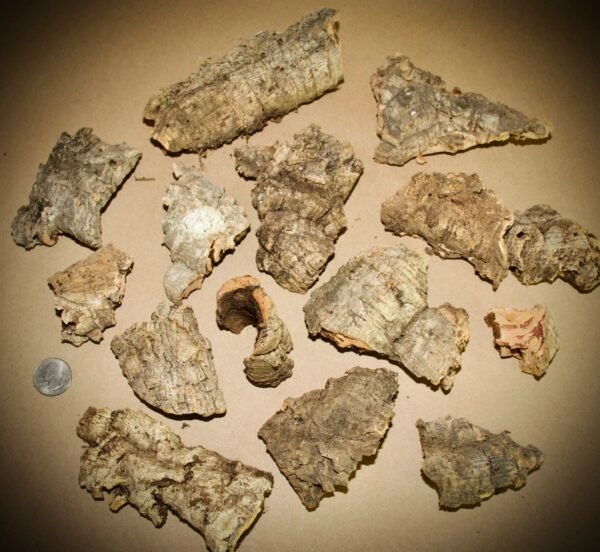 Micro Cork Bark Bits