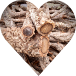 Cork Bark Branches (Sellers Choice)