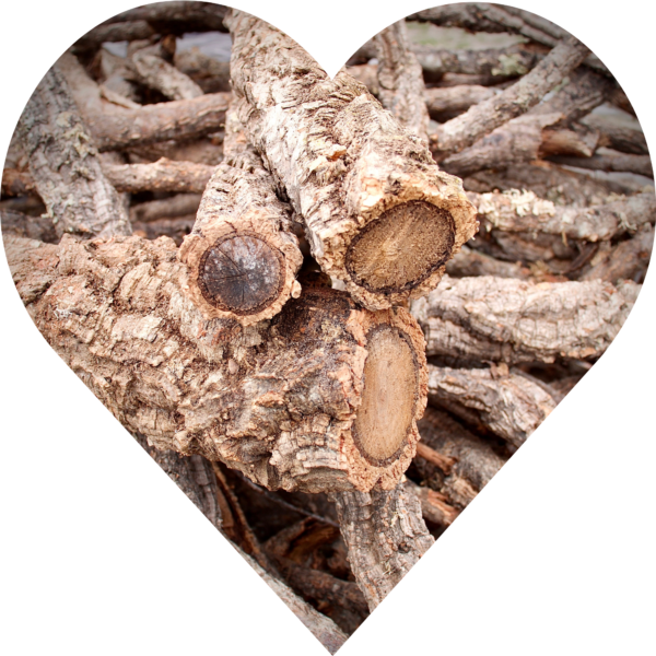 Cork Bark Branches (Sellers Choice)