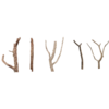Cork Bark Branches (Customizable)