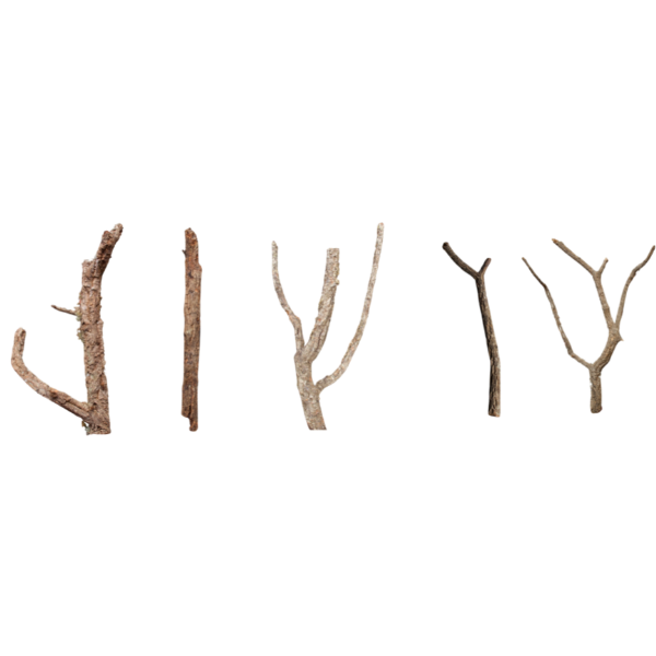 Cork Bark Branches (Customizable)