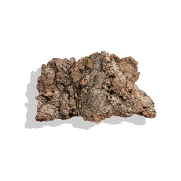 Single Cork Bark Flats (Customizable)