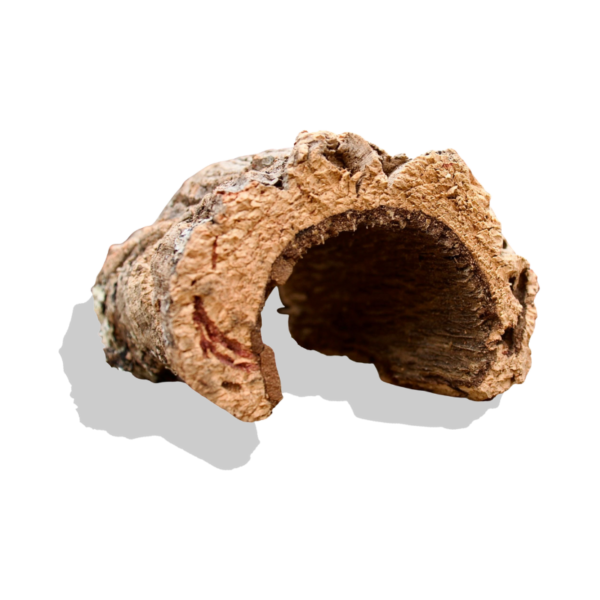 Cork Bark Half Rounds (Customizable)