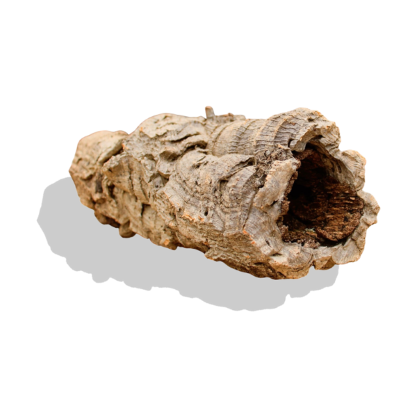 Single Cork Bark Rounds (Customizable)