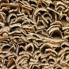 Cork Bark Flats (Customizable)